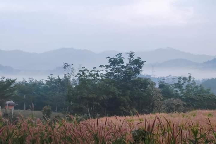 ภูริรักษ์ โฮมสเตย์ Ban Pha Saeng Lang 外观 照片