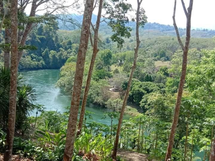 ภูริรักษ์ โฮมสเตย์ Ban Pha Saeng Lang 客房 照片