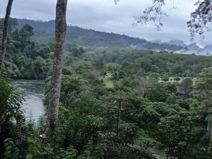 ภูริรักษ์ โฮมสเตย์ Ban Pha Saeng Lang 客房 照片